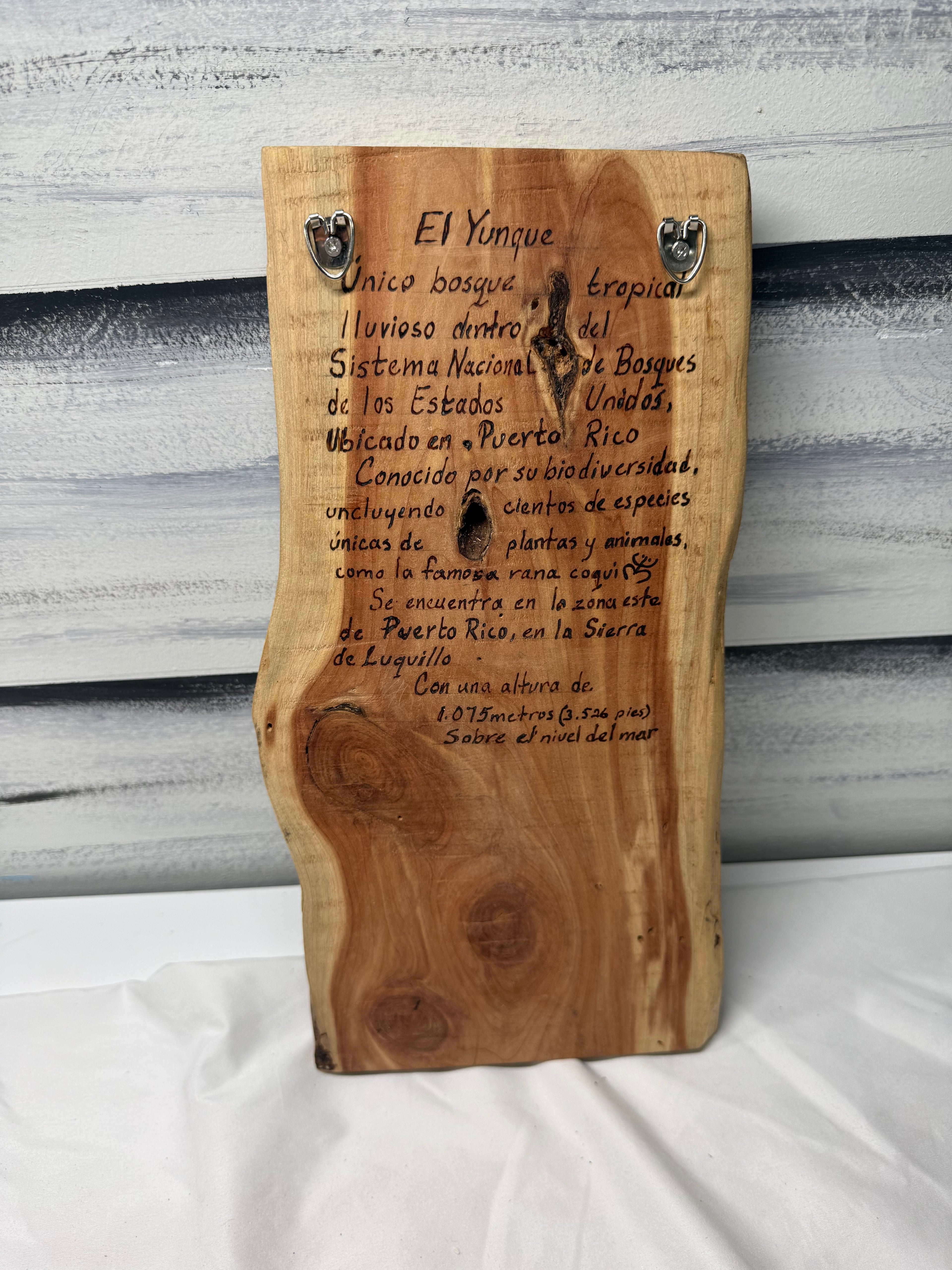 El yunque Artesanía Home decor Key Holder